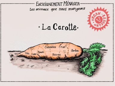 How to correctly cut a carrot.