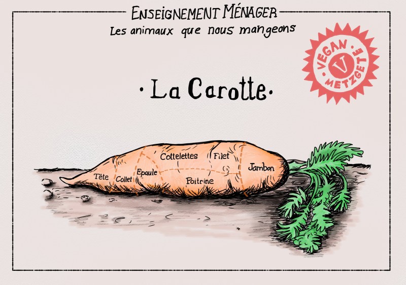 How to correctly cut a carrot.